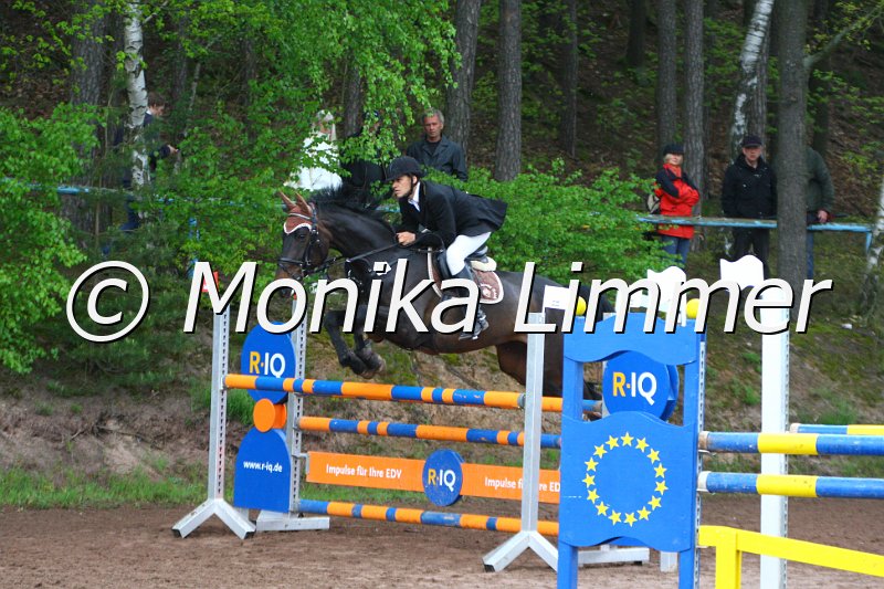 005L5260_My fair Lady_Spring M mit Stechen.JPG